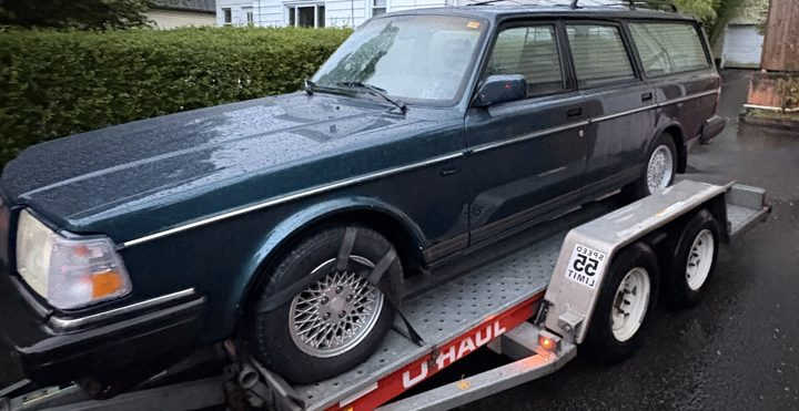 Wilma strapped to a trailer on a wet evening, the day she came home.